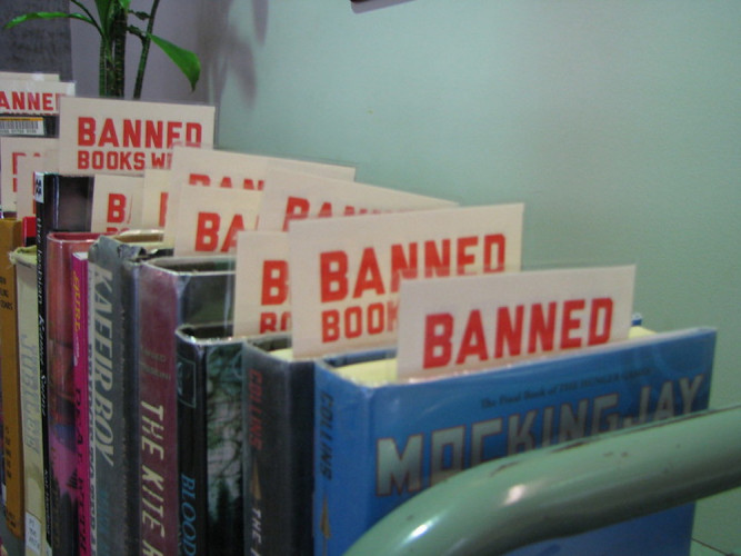 États-Unis : deux plaintes pour censurer des livres "obscènes"