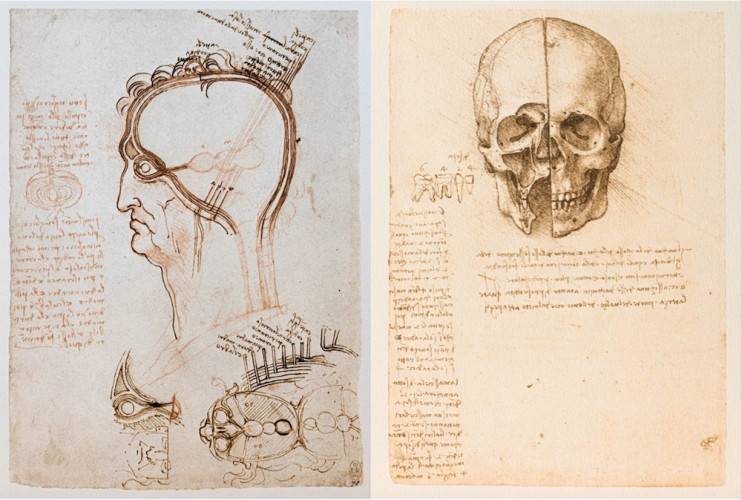 Exposition : Léonard de Vinci et l’anatomie au château du Clos Lucé ActuaLitté