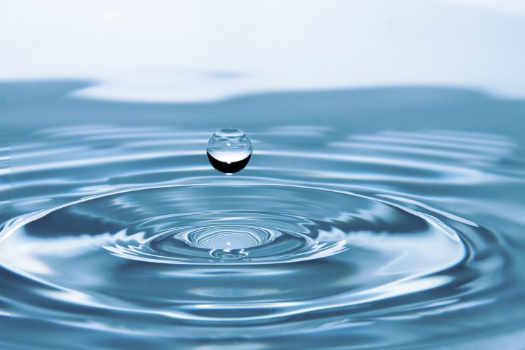 L’eau : une ressource à découvrir par les livres ActuaLitté