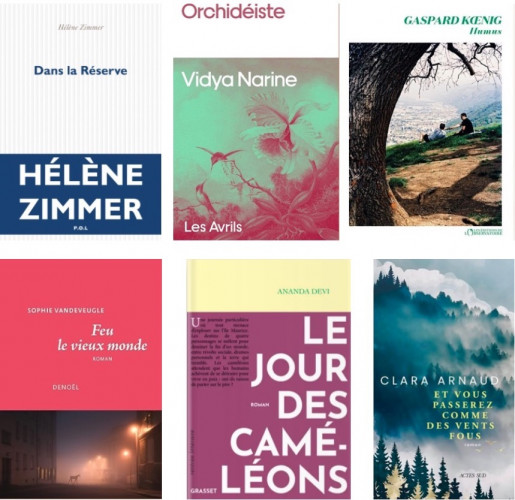 Les six romans finalistes du Prix du roman d’Écologie 2024 ActuaLitté