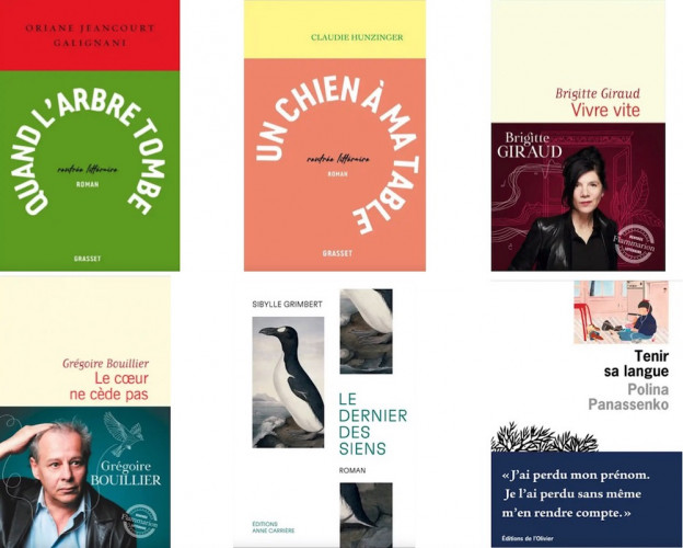 Le Prix Femina 2022 annonce ses finalistes roman et essai