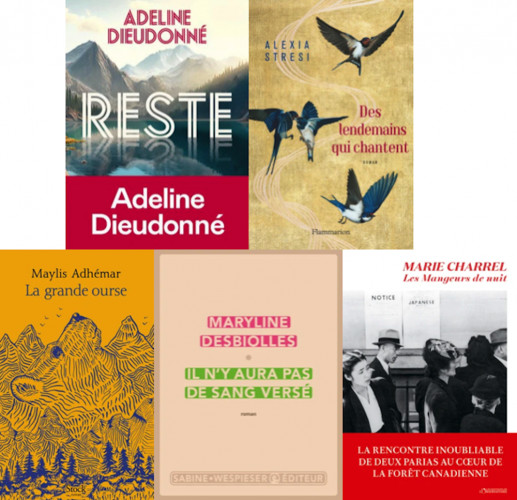 Prix France Bleu PAGE des libraires : cinq romans en lice ActuaLitté