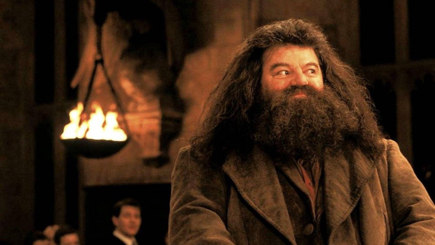 RIP Rubeus Hagrid, le demi-géant au coeur tendre