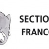 Les 40 finalistes des Prix IBBY Belgique francophone 2023 sont dévoilés