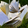 Vingt-huit auteurs pour la première édition de “Lire à Gordes”