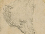 Léonard de Vinci, croqueur d'ours, pour 14 millions €