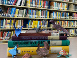 Au Canada, de mystérieux origamis envahissent une bibliothèque