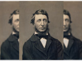 Télécharger les livres de Henry David Thoreau