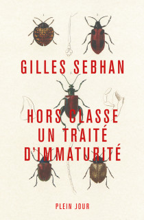 Gilles Sebhan : L'art délicat de l'immaturité
