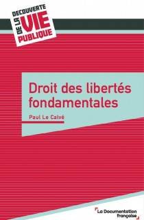 Pour mieux comprendre les droits et libertés fondamentaux français
