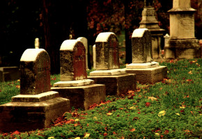 La mort des sœurs Brontë causée par une eau infusée aux cadavres ?
