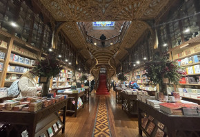Pour Noël, visiter la librairie qui a presque inspiré Rowling et Harry Potter (Porto)