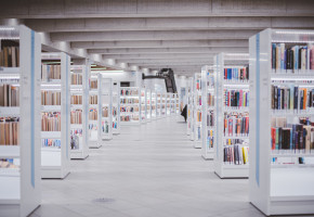Désherber les collections de sa bibliothèque : un algorithme méthodique
