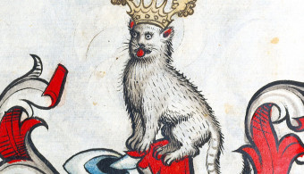 Les chats, rois d'Internet.. et des ouvrages du Moyen-Âge