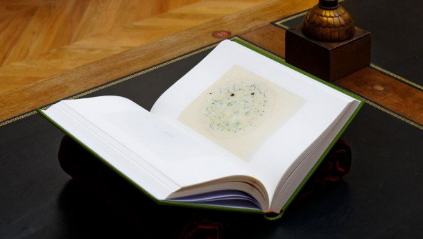 Substrat : quand les micro-organismes des livres donnent naissance à un livre