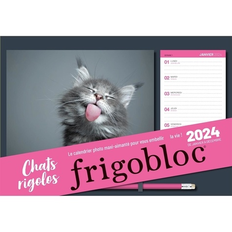 Frigobloc photos Chats rigolos 2024 (de janv. à déc. 2024) - Collectif,  Play Bac