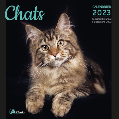 Drôles de chats : l'agenda-calendrier (édition 2024)