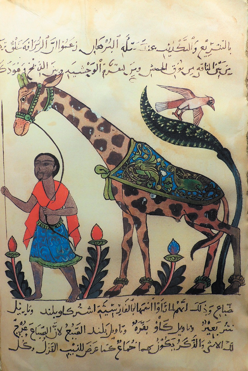 La girafe tirée du Livre des animaux Kitab al-hayawan, Milan, Biblioteca Ambrosiana, Ms. Arab. B 54, f. 36. Domaine Public.