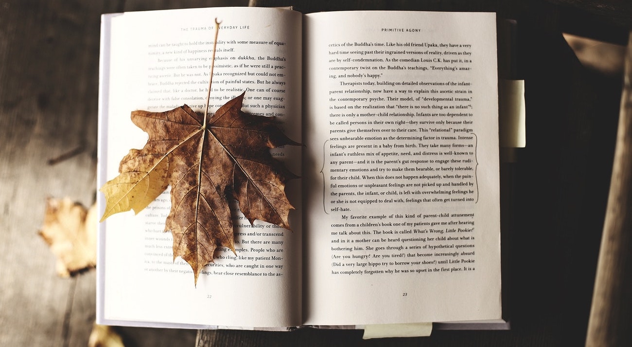 Neufs ou anciens : pourquoi l'odeur des livres envoûte ?